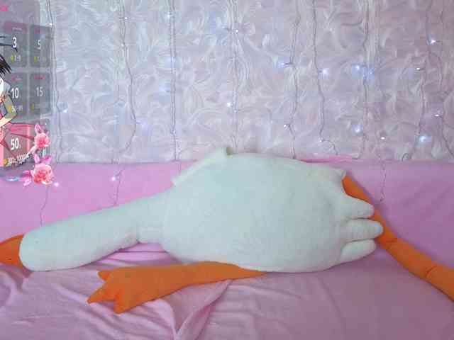 Olivisan webcam