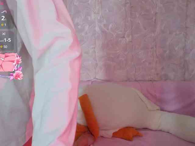 Olivisan webcam