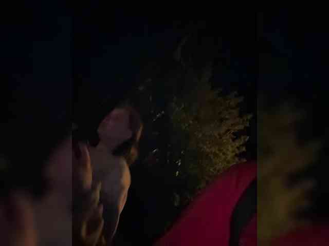 Masha--bear Live Webcam on BongaCams Masha--bear Live Webcam on BongaCams