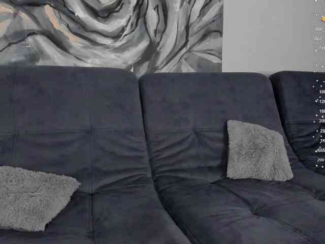 Tessa-Vinch webcam