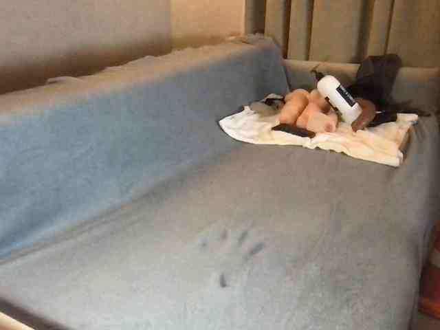 Analakarnavalla Live Webcam on BongaCams