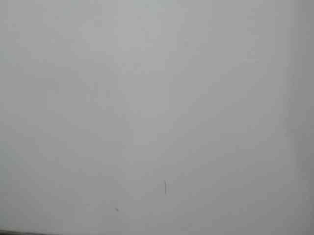 QueenMatturex webcam