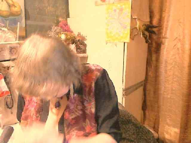 lelaniy webcam