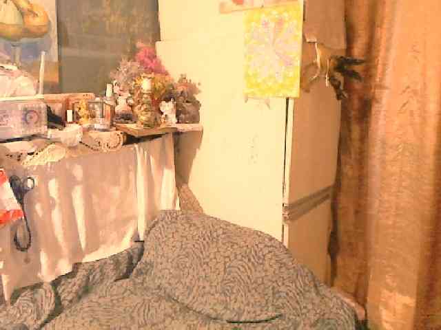lelaniy webcam