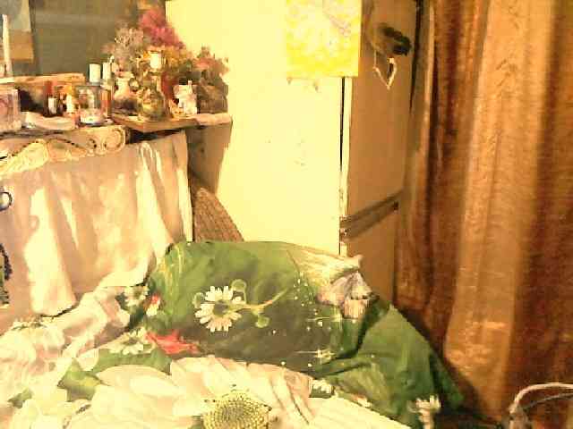 lelaniy webcam