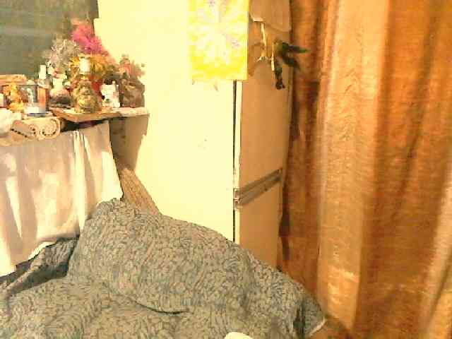 lelaniy webcam