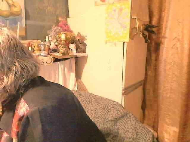 lelaniy webcam