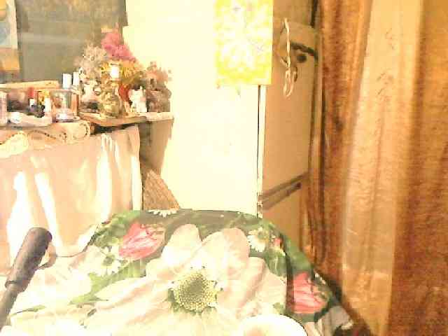 lelaniy webcam