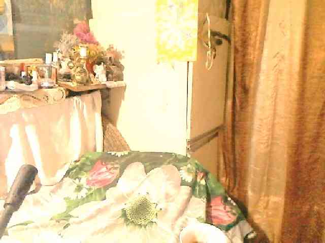 lelaniy webcam