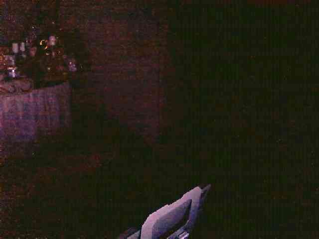 lelaniy webcam