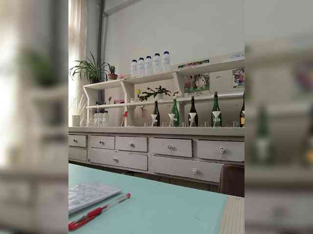 caroliiine webcam