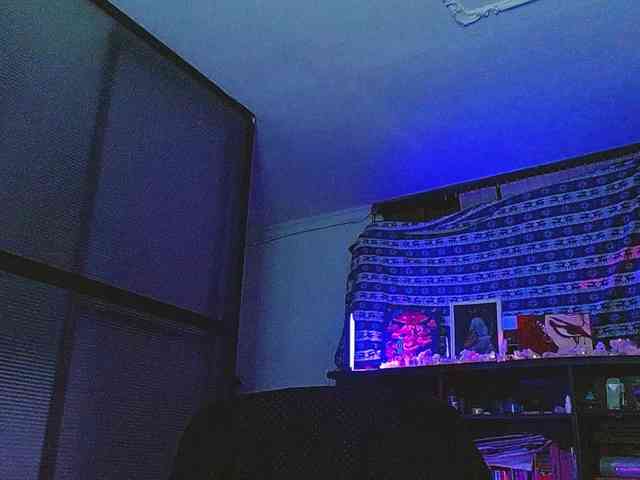 caraenaranja caraenaranja