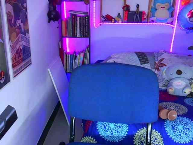 ElectricSapphire webcam
