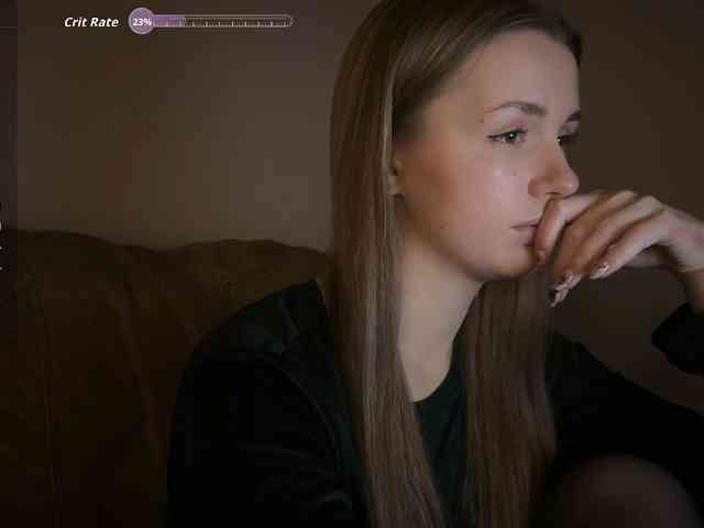 SM1212 webcam