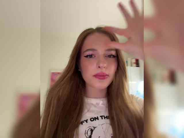 dulovelii webcam
