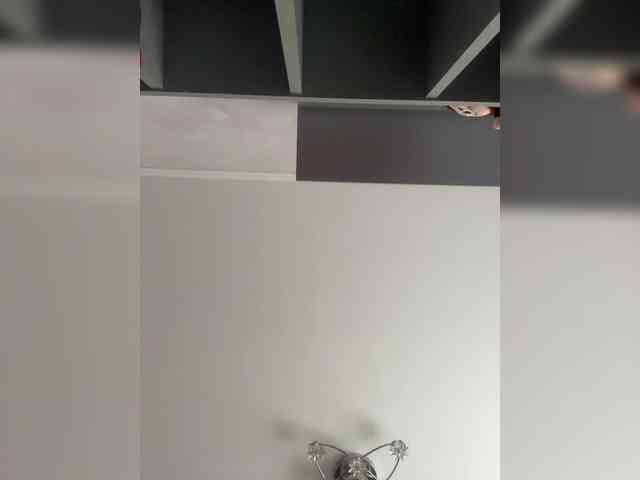 Lasiia webcam