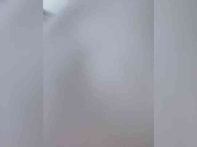Lasiia webcam
