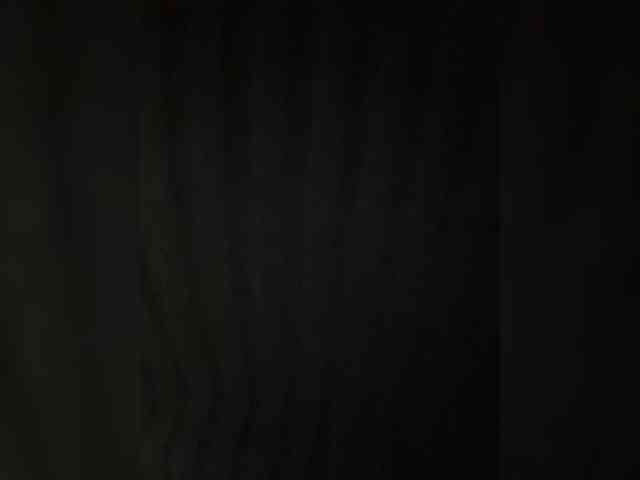 Lasiia webcam
