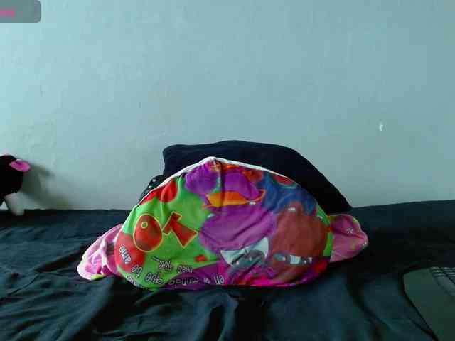 BabyNova webcam