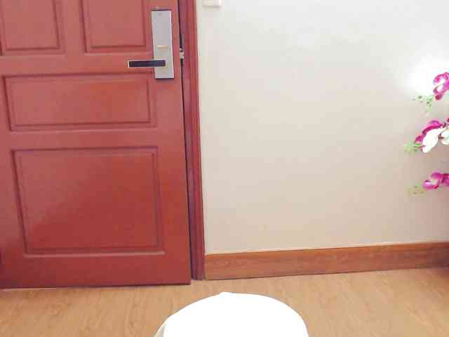 tanami88 webcam