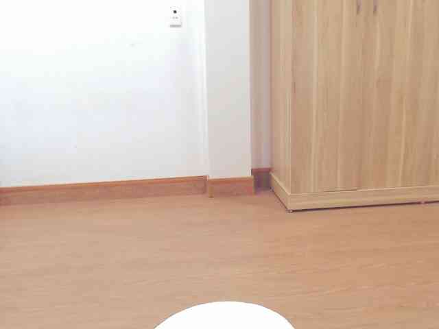 tanami88 webcam