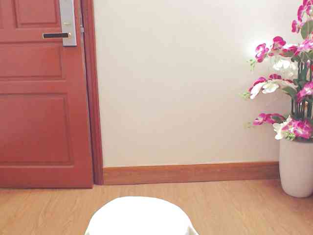 tanami88 webcam
