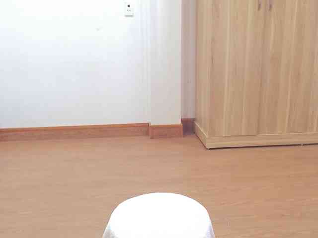 tanami88 webcam
