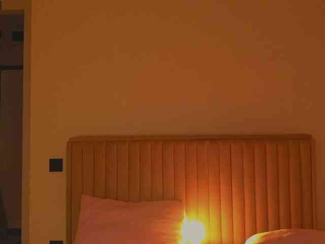 narcissism narcissism