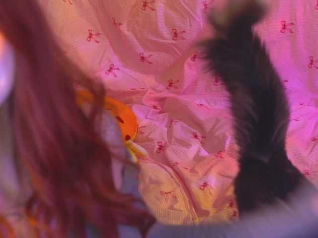 ex1angel's BongaCams show and profile