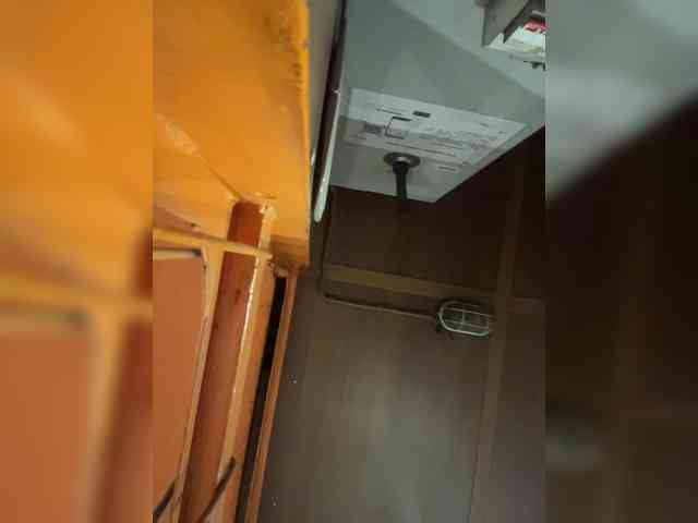 ShinyMagik webcam