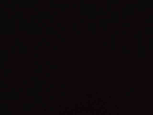 GumaLis13 webcam