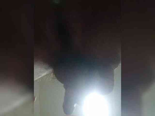 GumaLis13