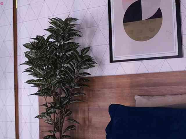 AylinMiller AylinMiller