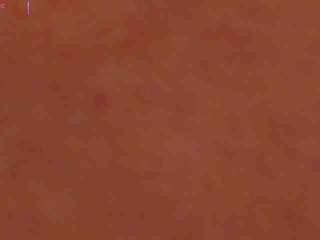 AylinMiller webcam