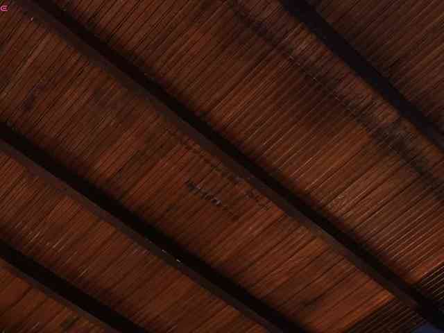 AylinMiller AylinMiller