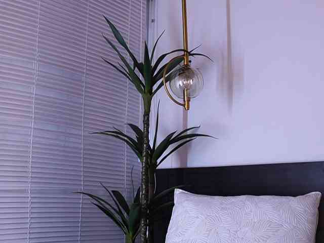 AylinMiller AylinMiller