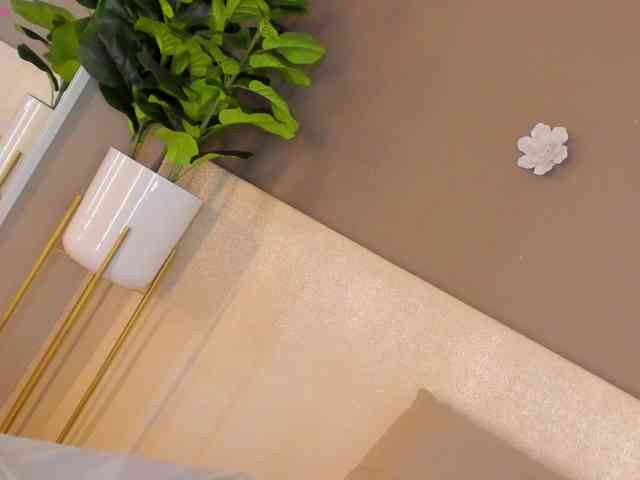 AylinMiller webcam