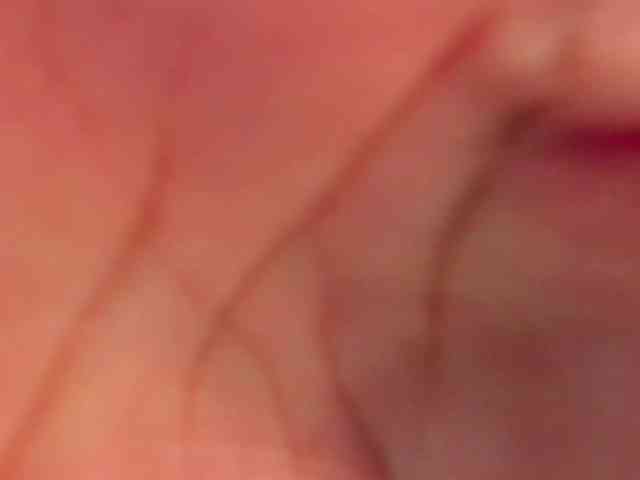 steffanybeck steffanybeck