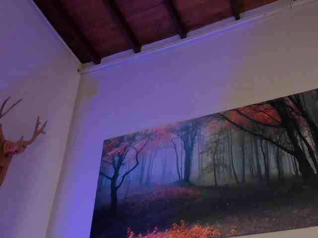 AgattaDuque webcam