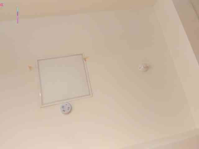 AriaFoster webcam