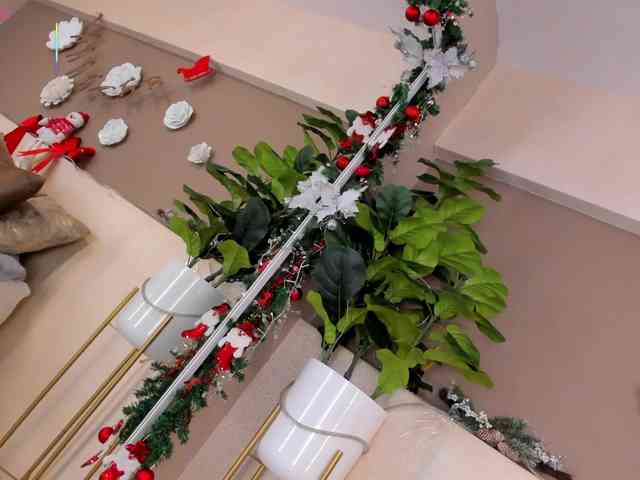 AriaFoster AriaFoster