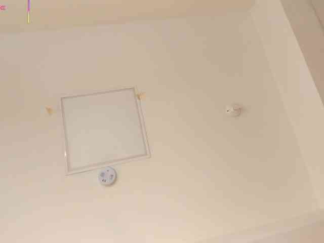 AriaFoster webcam