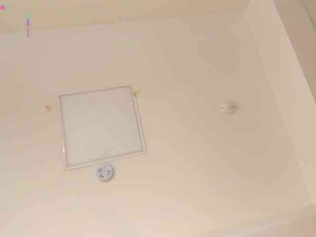 AriaFoster webcam
