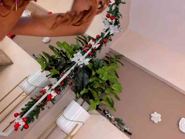 AriaFoster AriaFoster