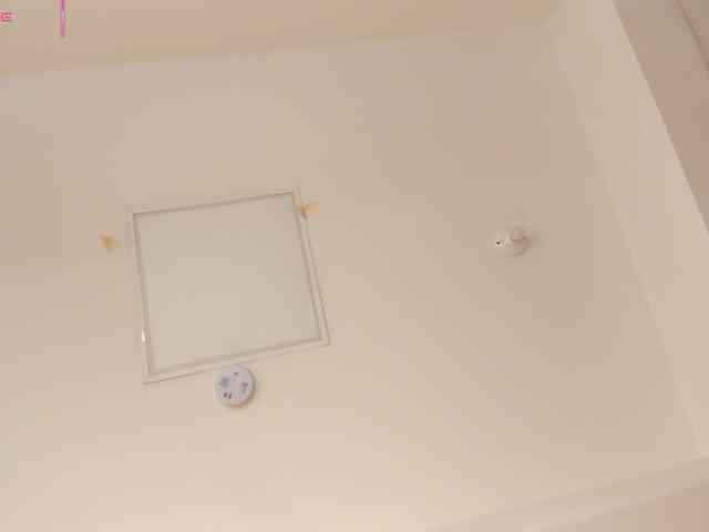 AriaFoster webcam