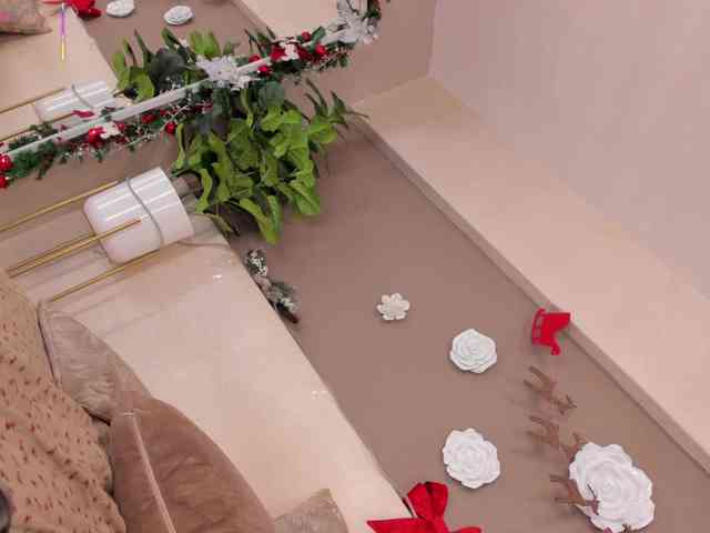 AriaFoster AriaFoster