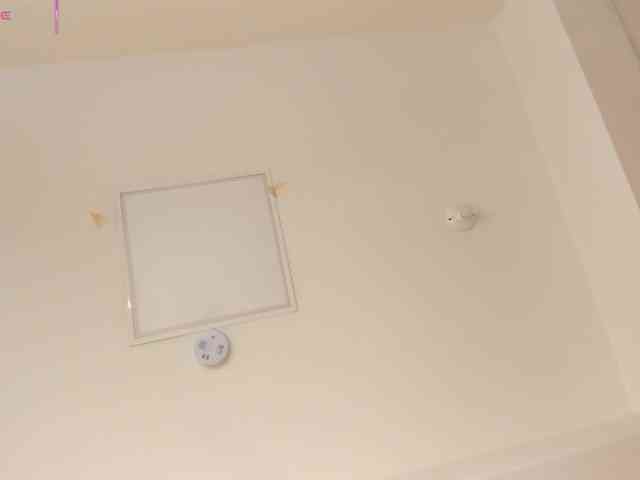 AriaFoster webcam