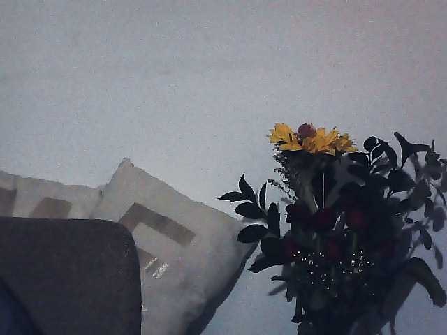 Monica-0809's BongaCams show and profile