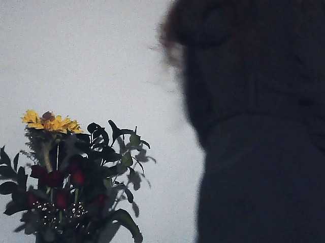 Monica-0809's BongaCams show and profile