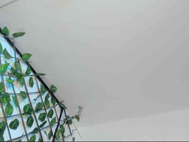 VileettaMiller webcam